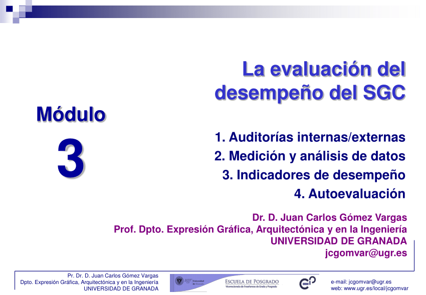 Pdf La Evaluación Del Desempeño Del Sistema De Gestión De La Calidad 