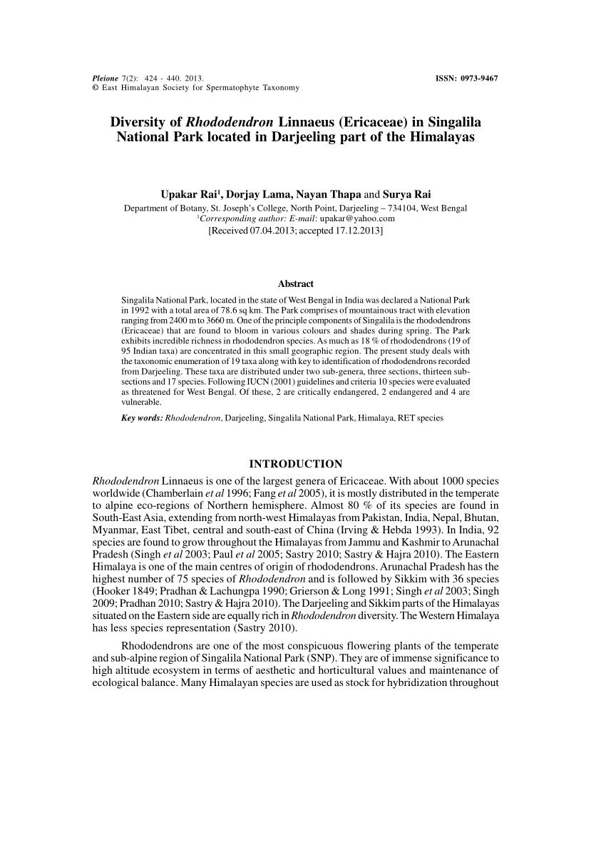 rhododendron essay for class 1