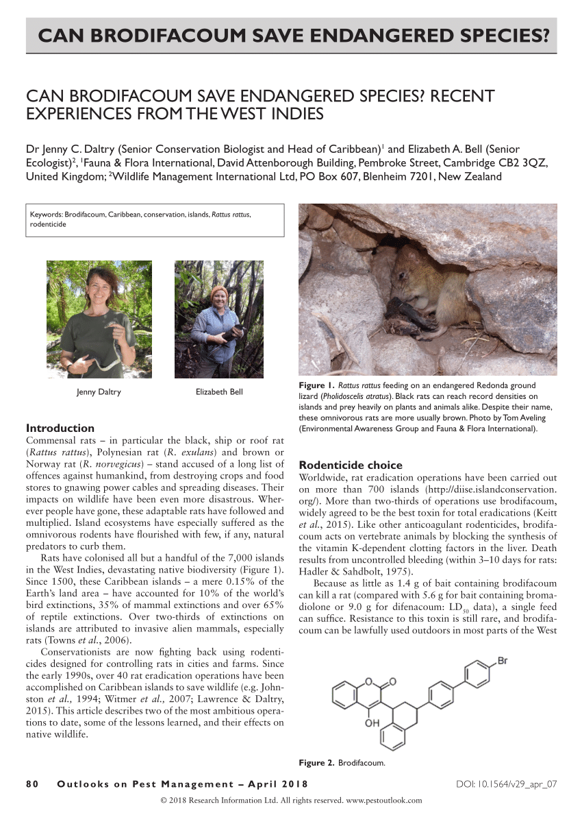 PDF) Can Brodifacoum Save Endangered Species? Recent Experiences from the  West Indies
