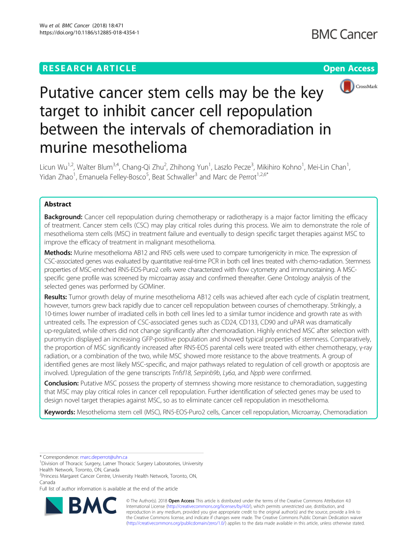 (PDF) Putative cancer stem cells may be the key target to inhibit ...