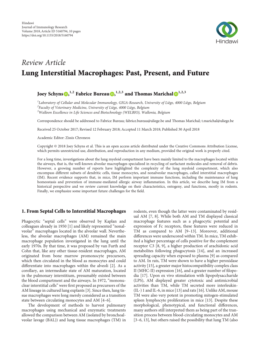 Pdf Lung Interstitial Macrophages Past Present And Future