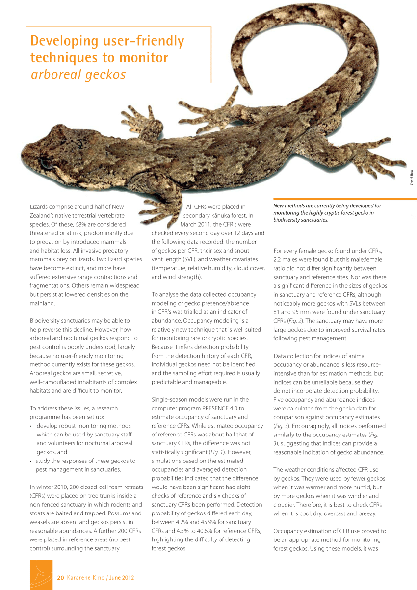 Pdf Developing User Friendly Techniques To Monitor Arboreal Geckos