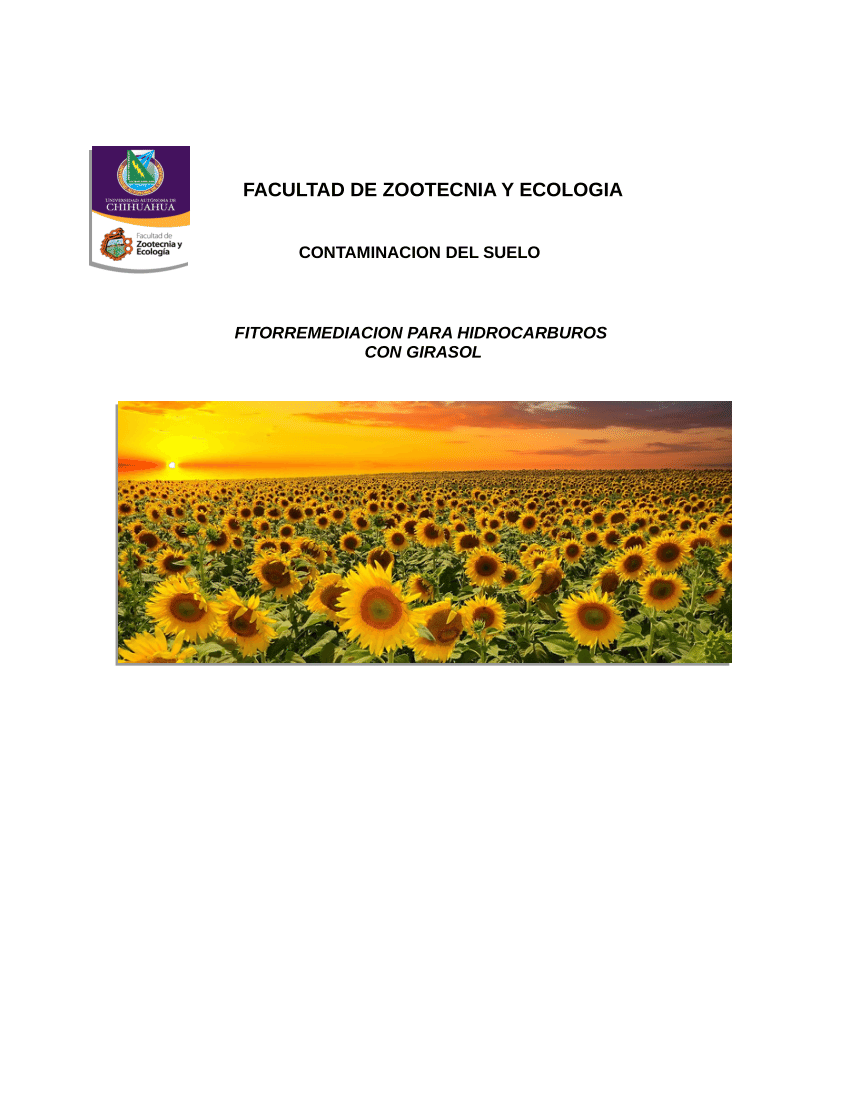 PDF) fitirremediacion con girasol