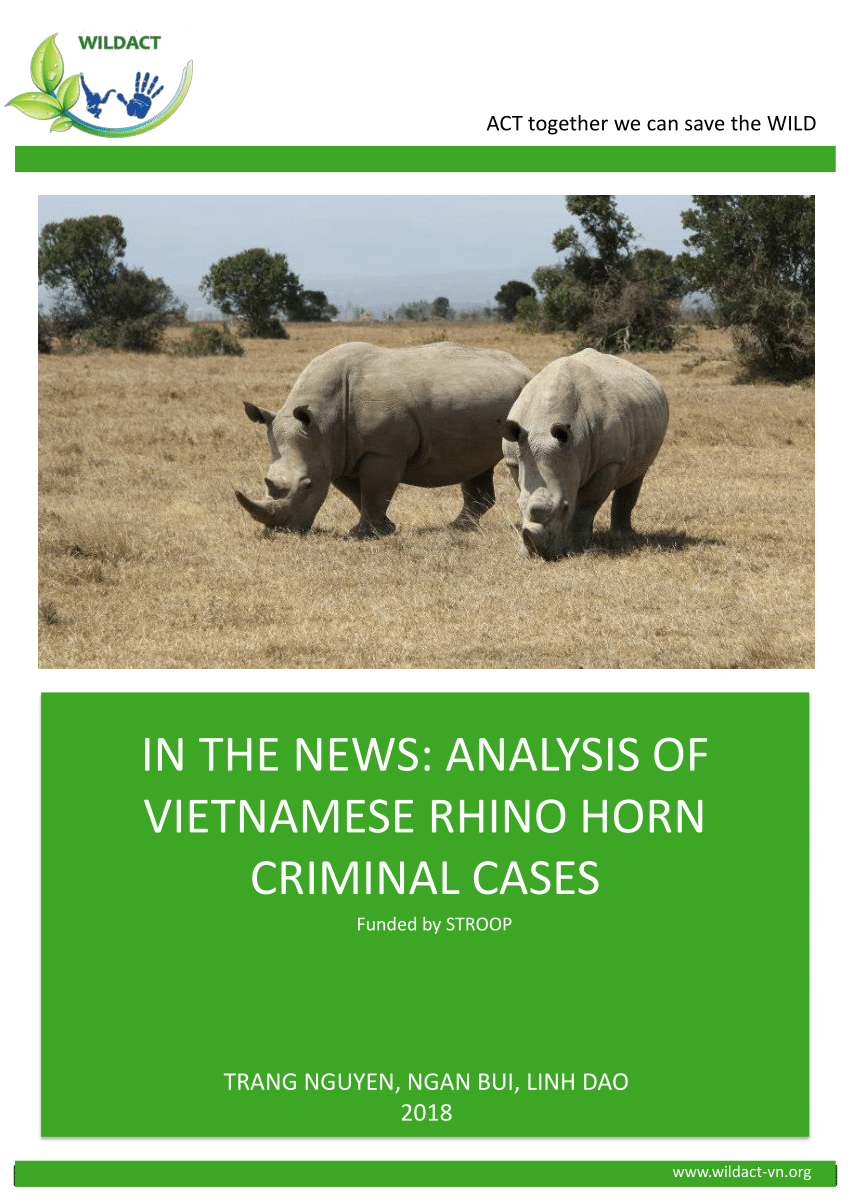 Horns value rhino Rhino Horn