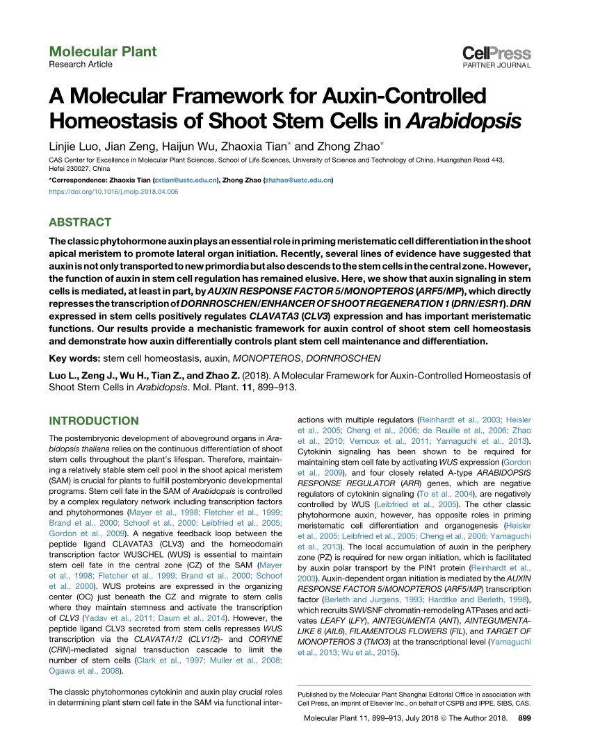 Pdf A Molecular Framework For Auxin Controlled Homeostasis Of Shoot Stem Cells In Arabidopsis