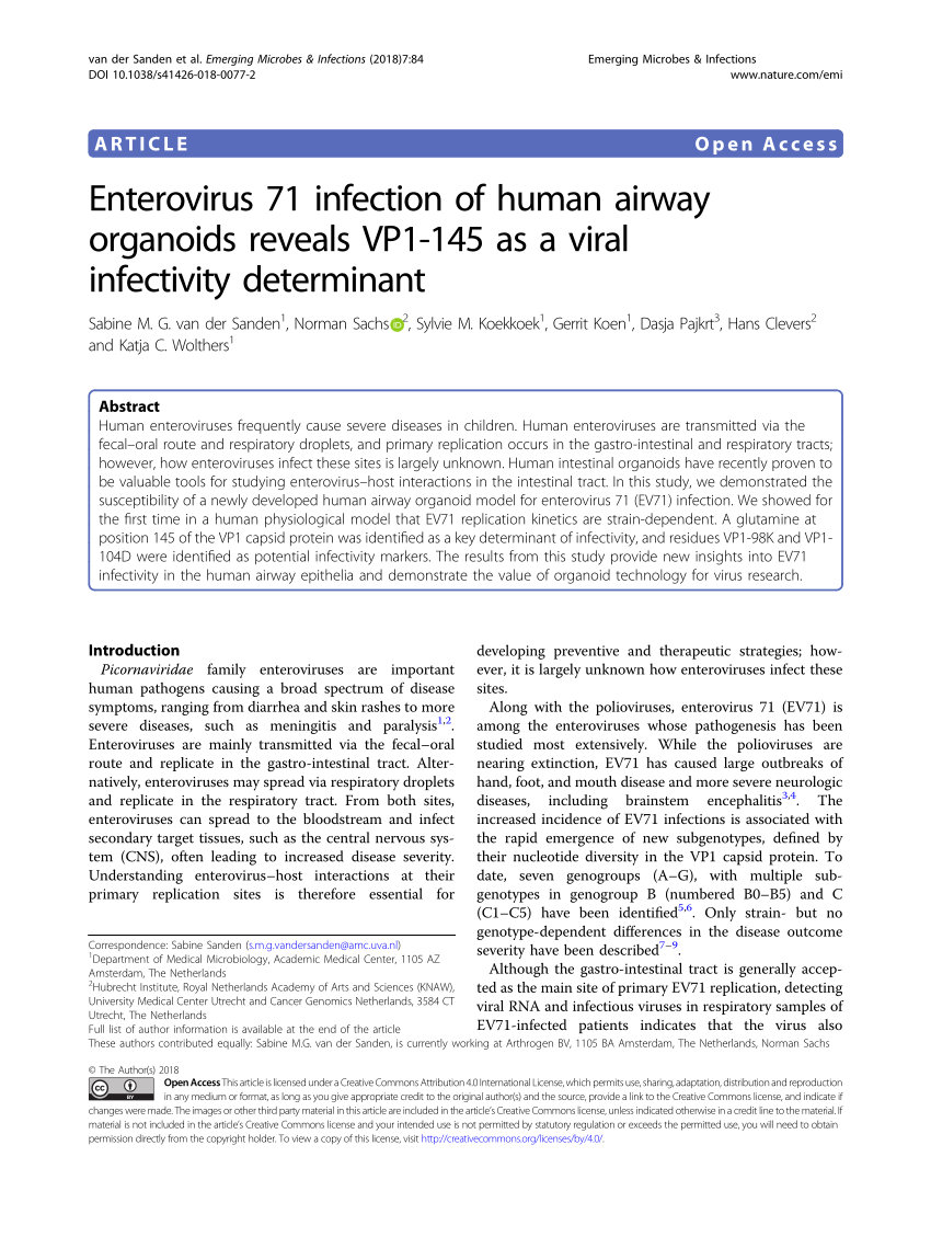 PDF) Enterovirus 71 infection of human airway organoids reveals