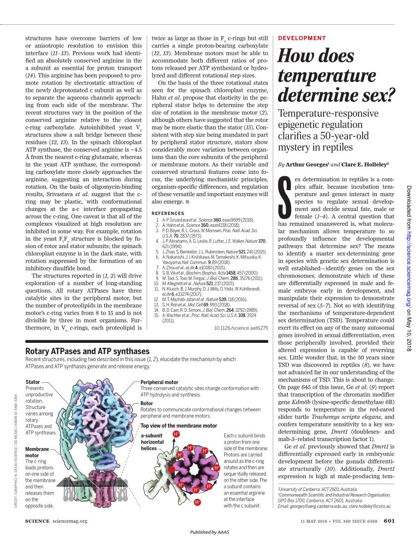 Pdf How Does Temperature Determine Sex 4467