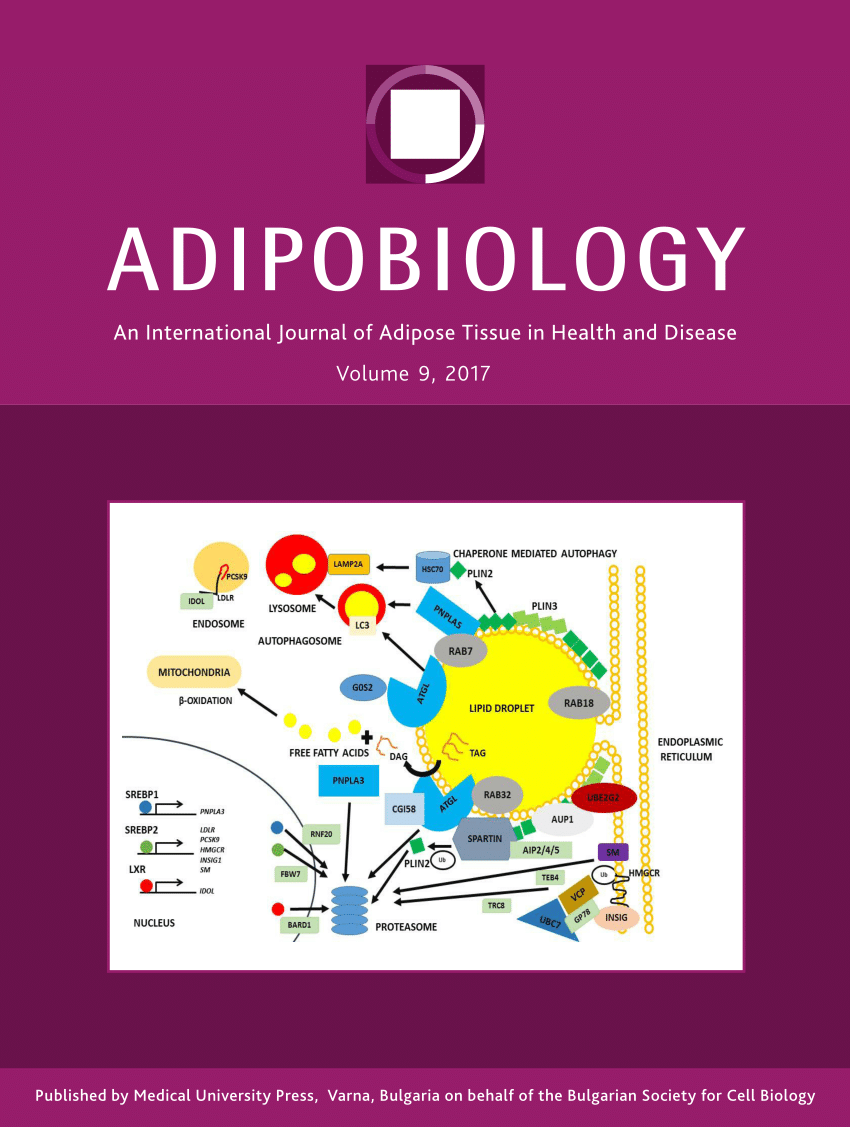 Pdf Adipobiology Issn 1313 3705 Online Images, Photos, Reviews