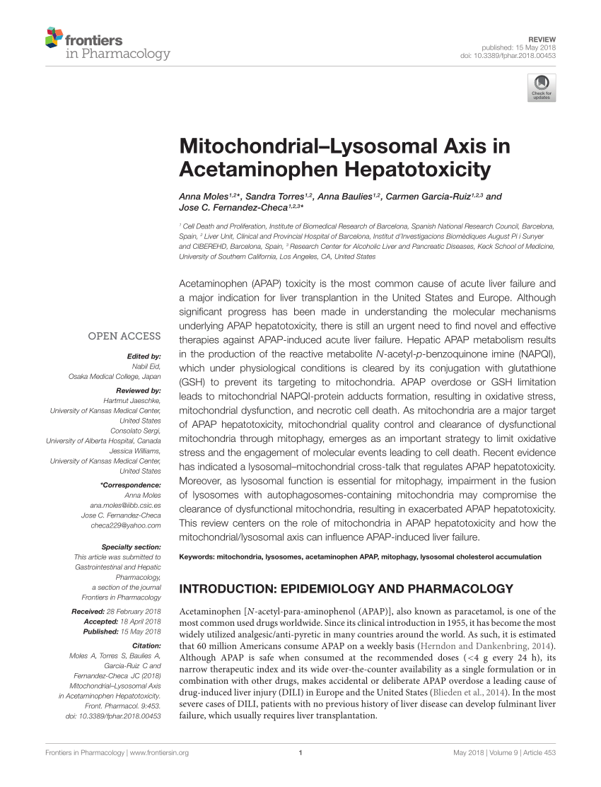 PDF) Mitochondrial–Lysosomal Axis in Acetaminophen Hepatotoxicity