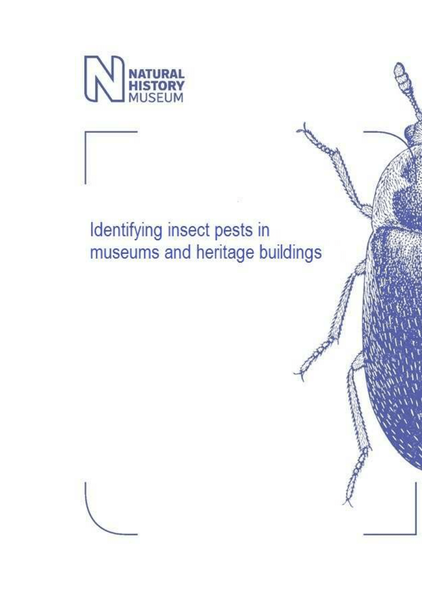 Pdf Identifying Insect Pests In Museums And Heritage Buildings