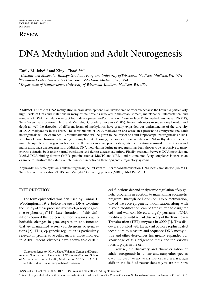 PDF) DNA Methylation and Adult Neurogenesis