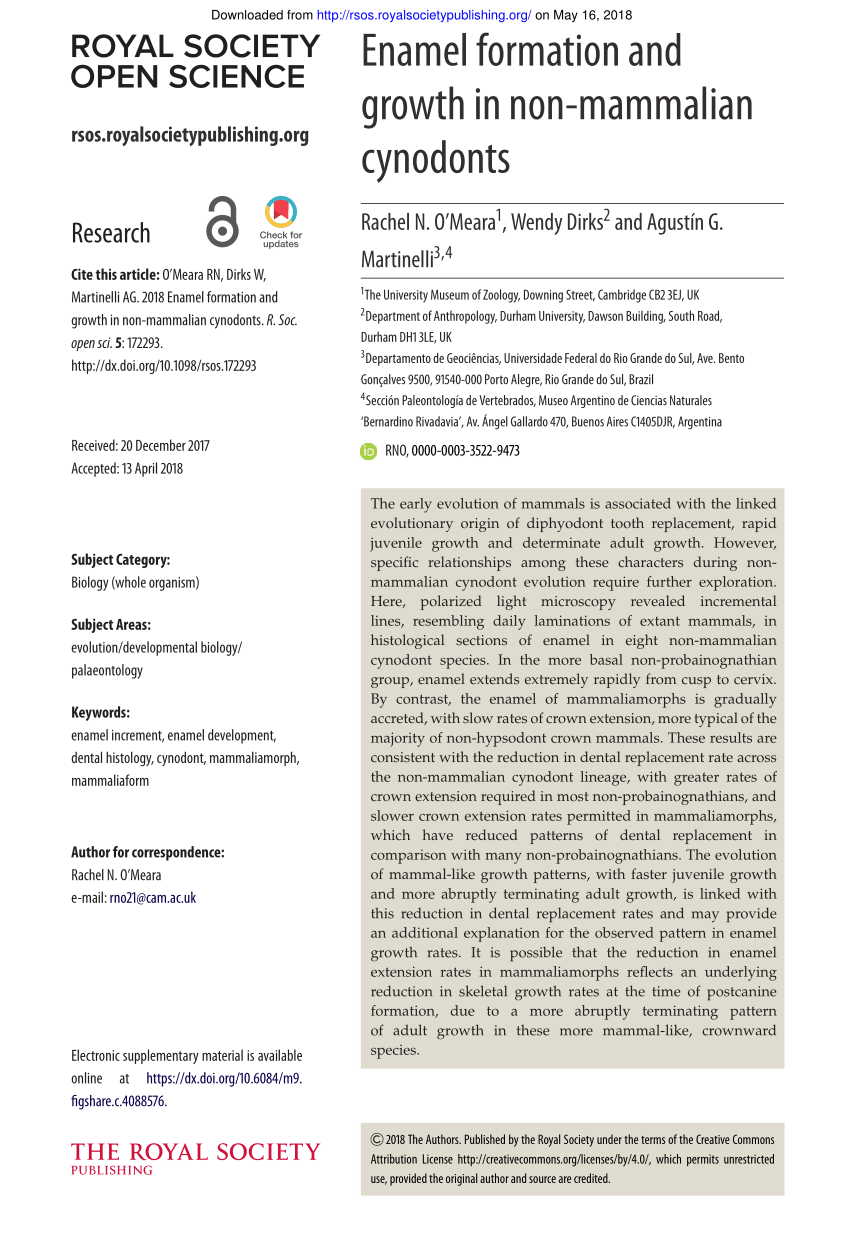 (PDF) Enamel formation and growth in non-mammalian cynodonts