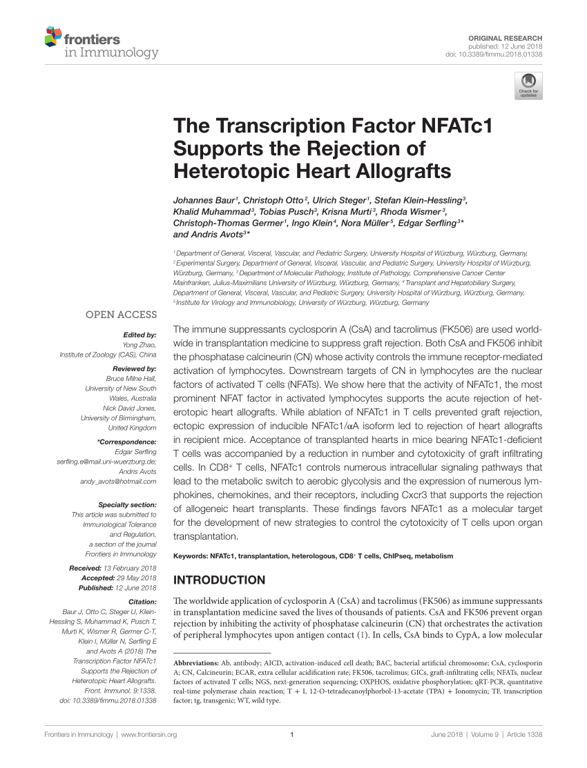 Pdf The Transcription Factor Nfatc1 Supports The Rejection Of Heterotopic Heart Allografts