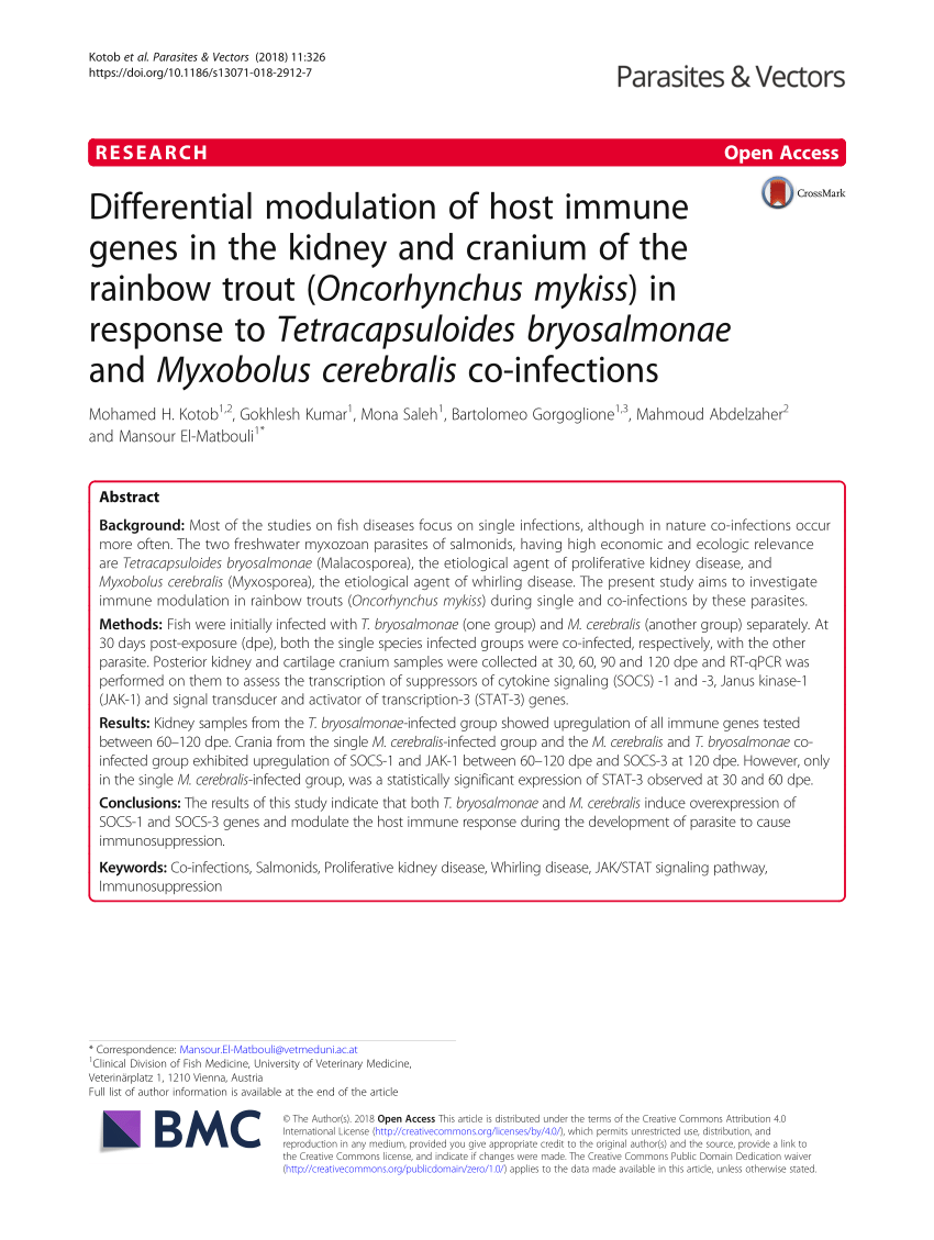 (PDF) Cross-Protective Immune Responses Induced in Rhesus 
