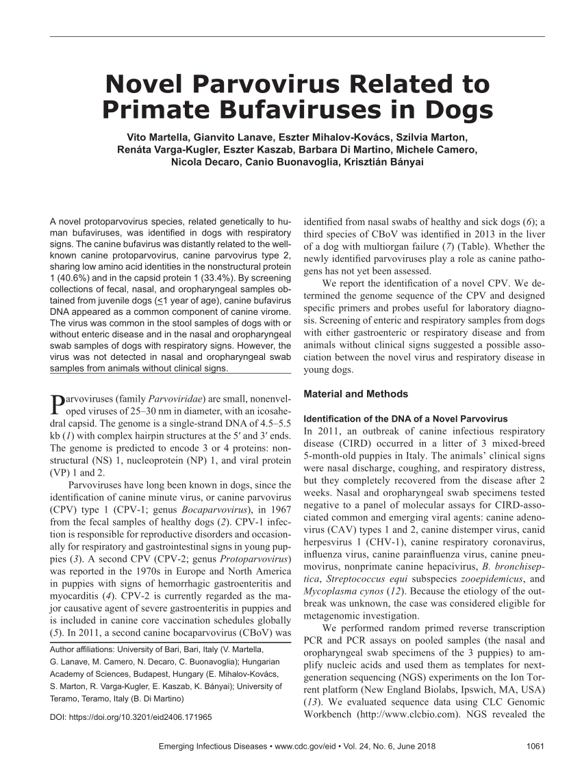 PDF Novel Parvovirus Related to Primate Bufaviruses in Dogs