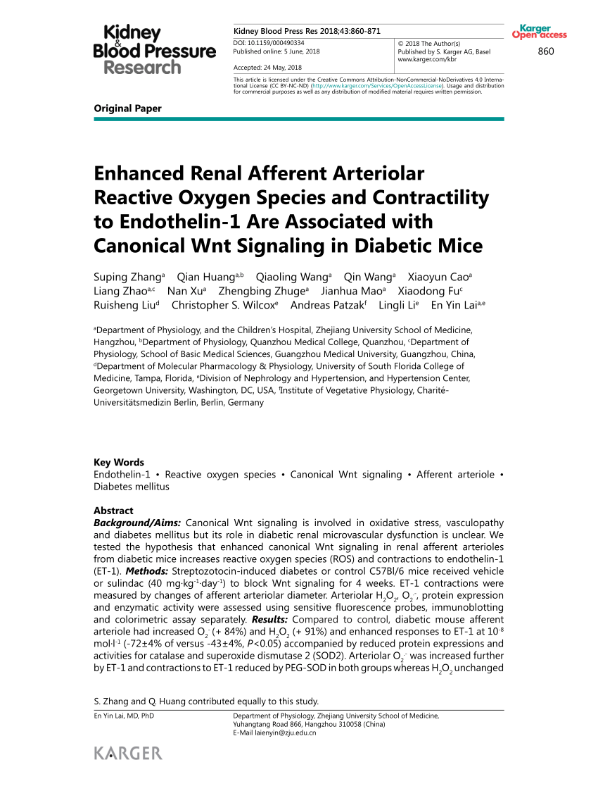 (PDF) Enhanced Renal Afferent Arteriolar Reactive Oxygen Species and ...