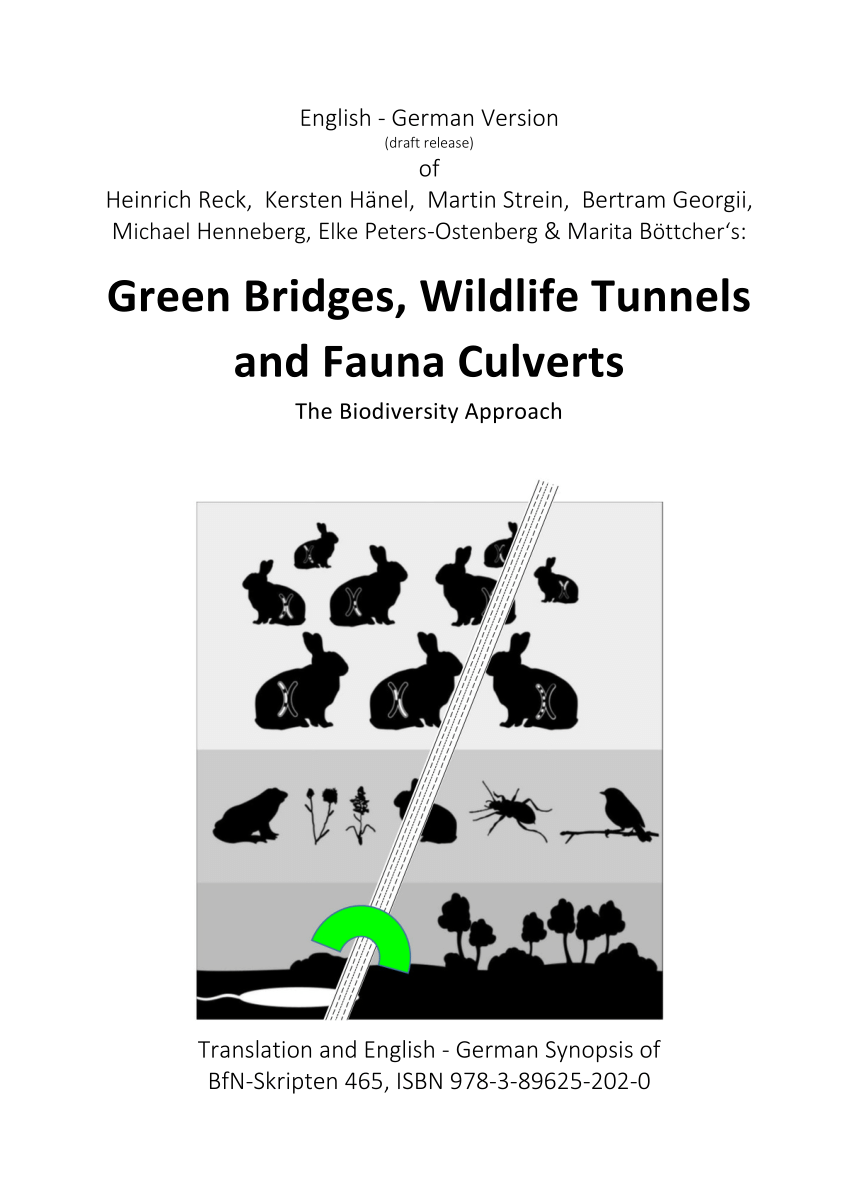PDF Green Bridges Wildlife Tunnels and Fauna Culverts The Biodiversity Approach Translation and English German Synopsis of BfN Skripten 465
