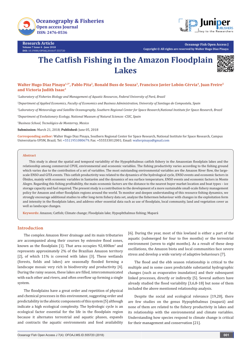 Pdf The Catfish Fishing In The Amazon Floodplain Lakes
