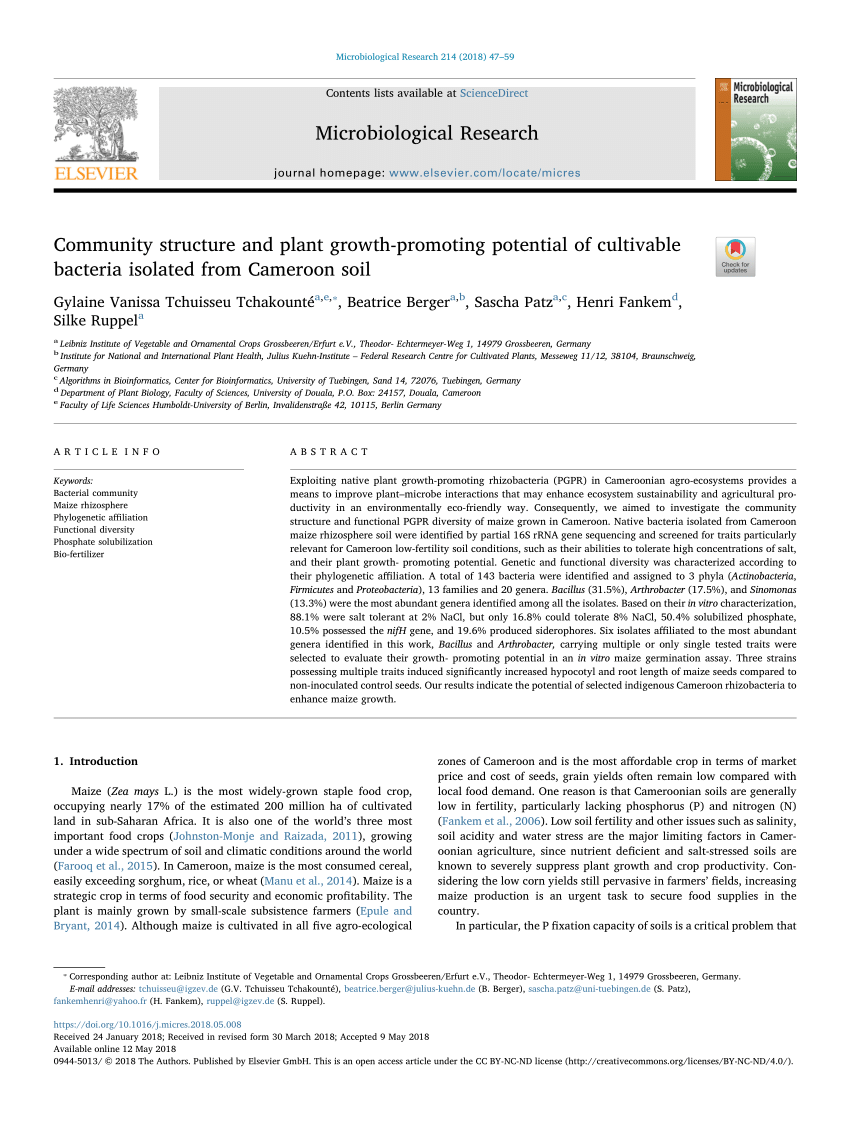 research proposal on bacteria