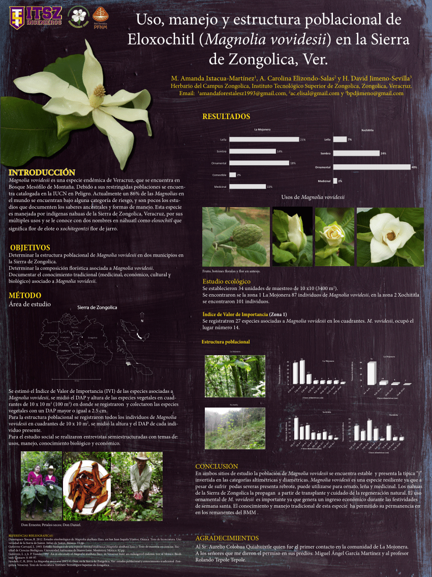 PDF) Uso, manejo y estructura poblacional de Eloxochitl (Magnolia  vovidesii) en la Sierra de Zongolica, Ver.