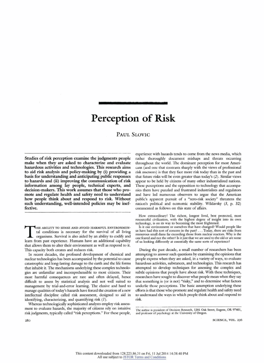 risk perception literature review