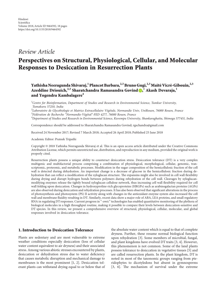 C-IBP-2211 Zertifizierung