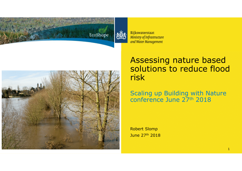Pdf Assessing Nature Based Solutions To Reduce Flood Risk