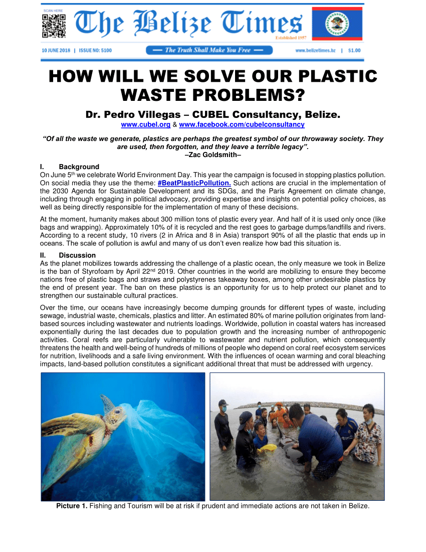 Pdf How Will We Solve Our Plastic Waste Problems