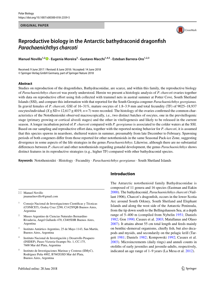 Pdf Reproductive Biology In The Antarctic Bathydraconid Dragonfish Parachaenichthys Charcoti