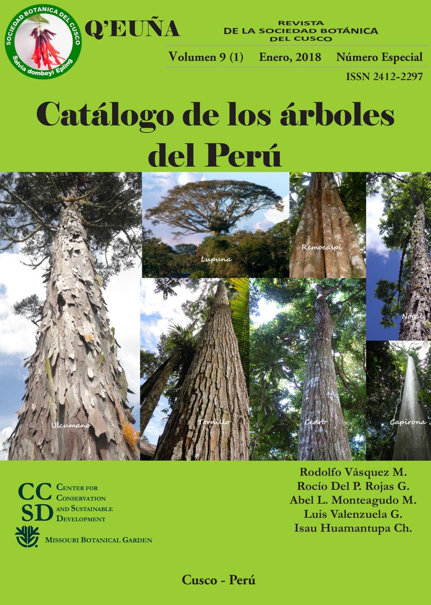 Details 100 catálogo de árboles del perú