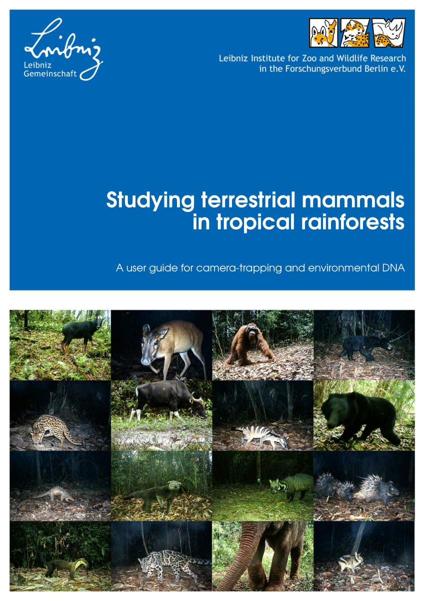 PDF) Studying terrestrial mammals in tropical rainforests A user guide for  camera-trapping and environmental DNA