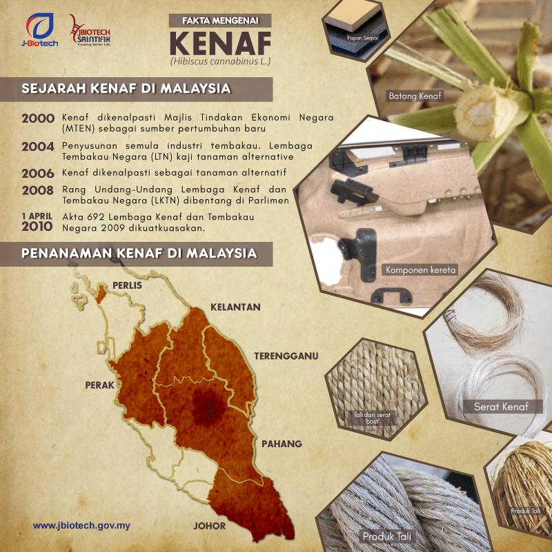 Pdf Fakta Mengenai Kenaf Facts About Kenaf The History And Where It Is Planted In Malaysia