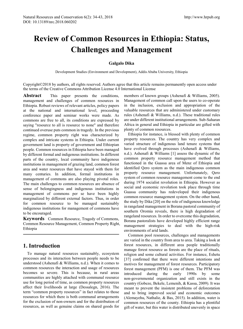 article review on human resource management in ethiopia