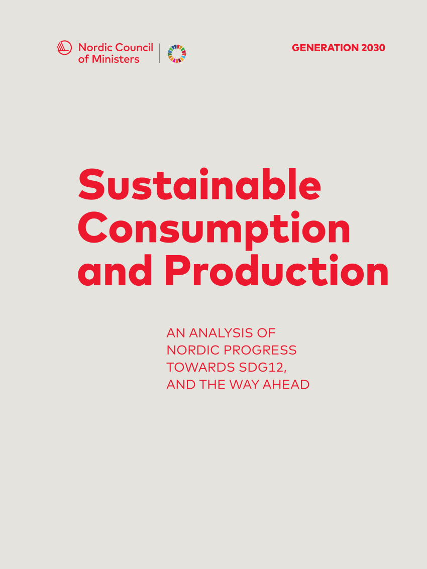 sustainable consumption essay
