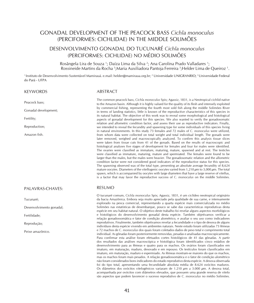 PDF Gonodal development of the peacock bass Cichla monoculus  