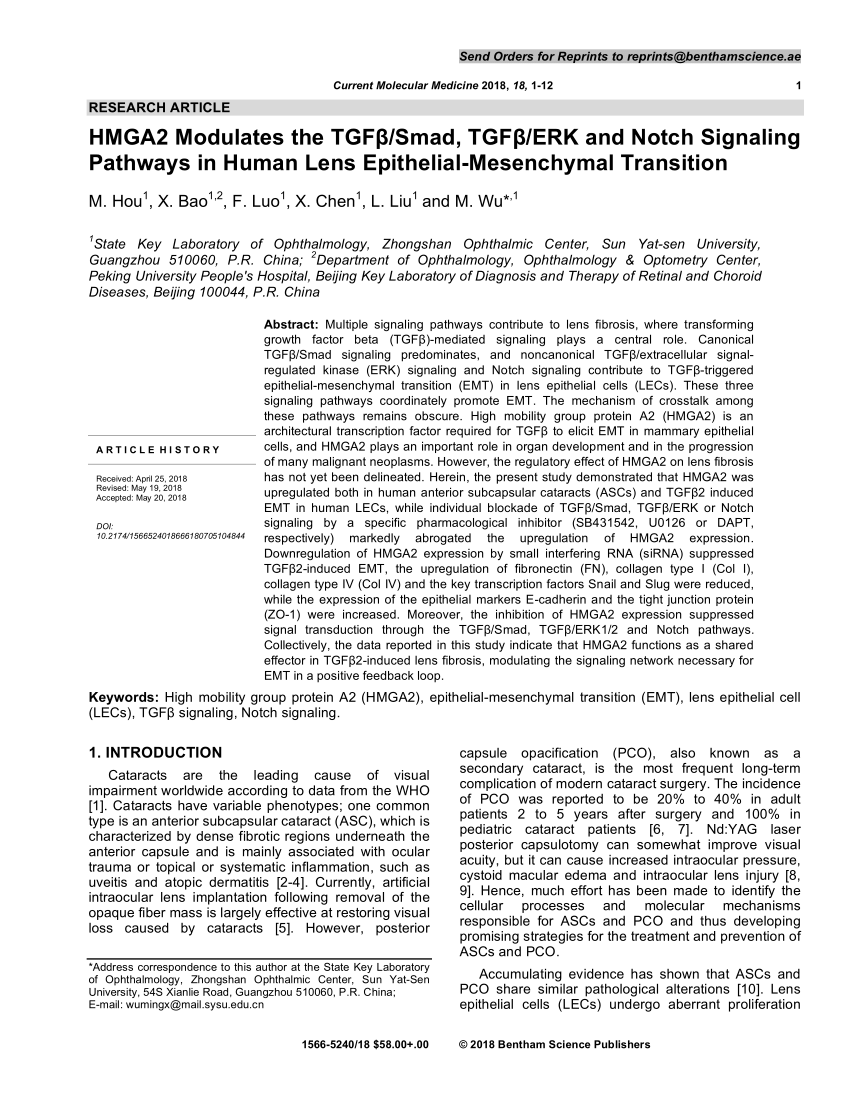Pdf Hmga2 Modulates The Tgfb Smad Tgfb Erk And Notch Signaling Pathways In Human Lens Epithelial Mesenchymal Transition