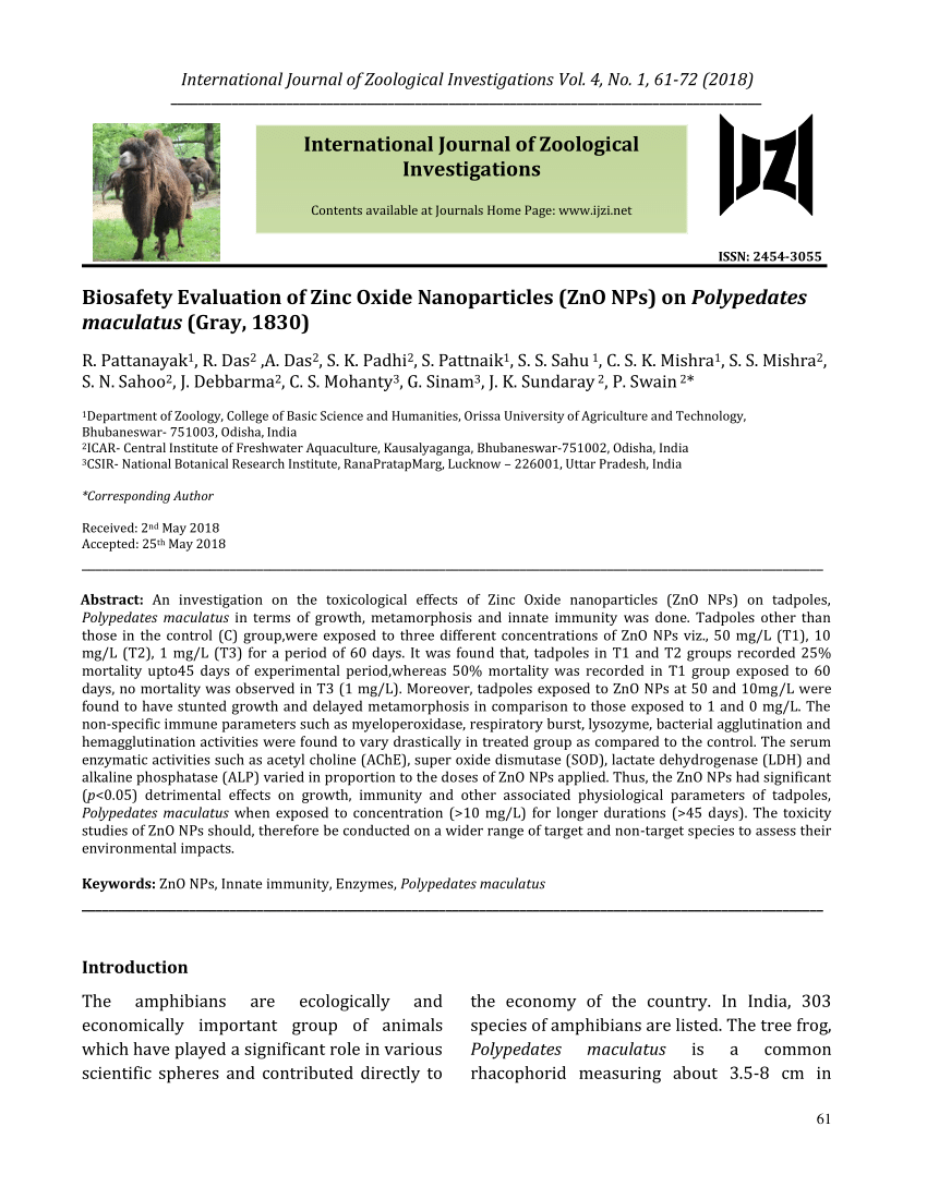 Pdf Biosafety Evaluation Of Zinc Oxide Nanoparticles Zno Nps On Polypedates Maculatus Gray 10