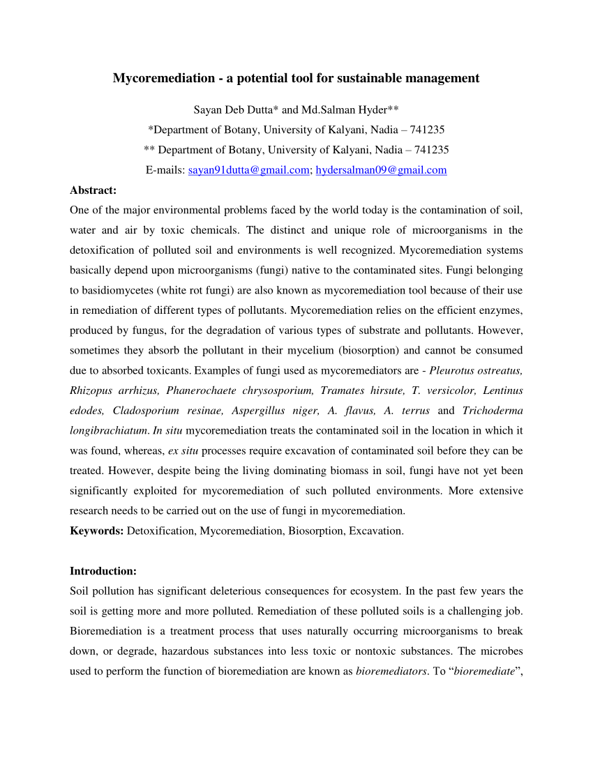 research papers on mycoremediation