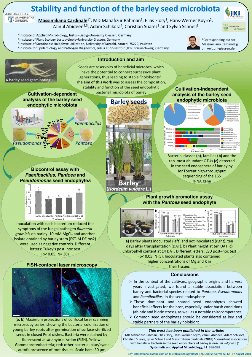 (PDF) Stability and function of the barley seed microbiota