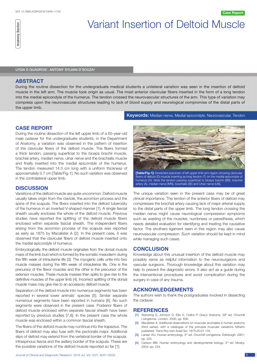 (PDF) Variant Insertion of Deltoid Muscle