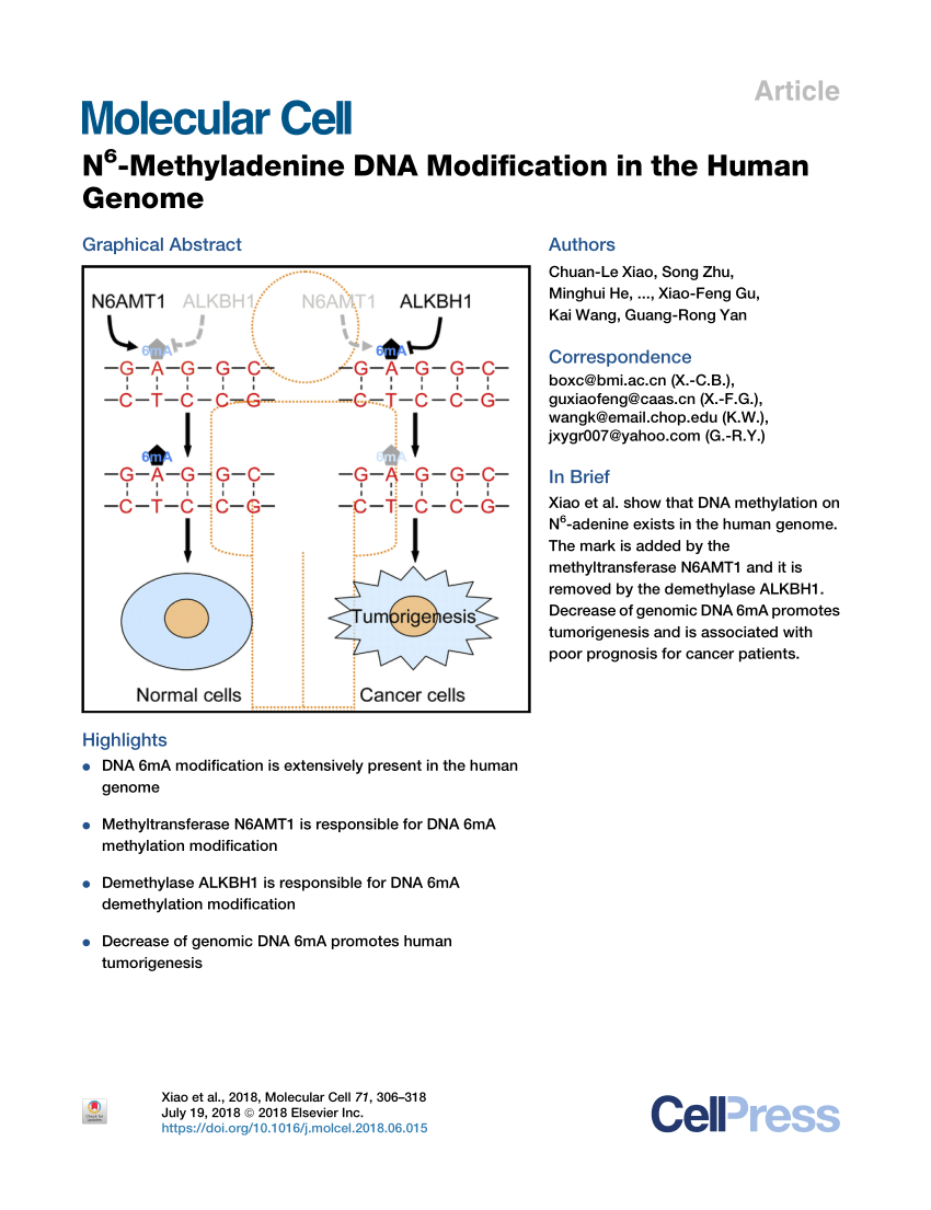 Pdf N6 Methyladenine Dna Modification In Human Genome