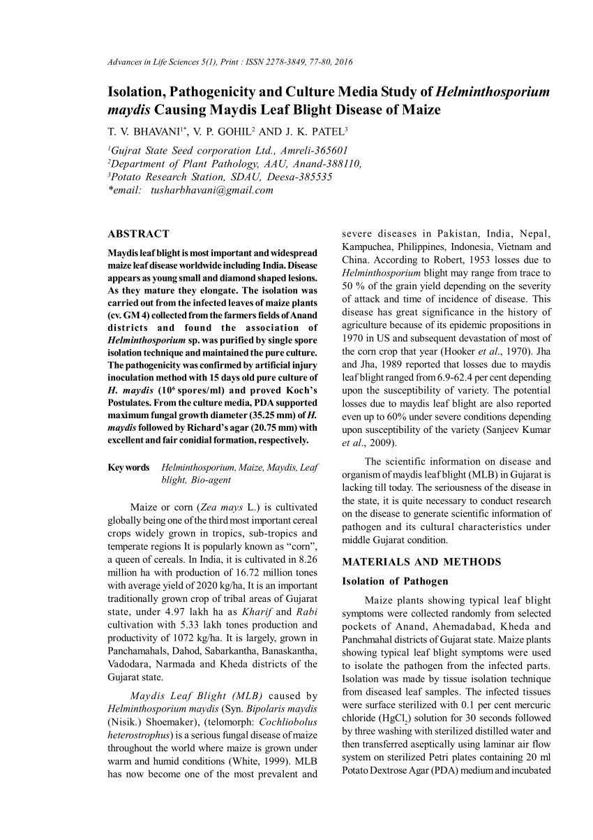 taxonomia de helminthosporium maydis hogyan lehet meghatározni a hármas trichinózist