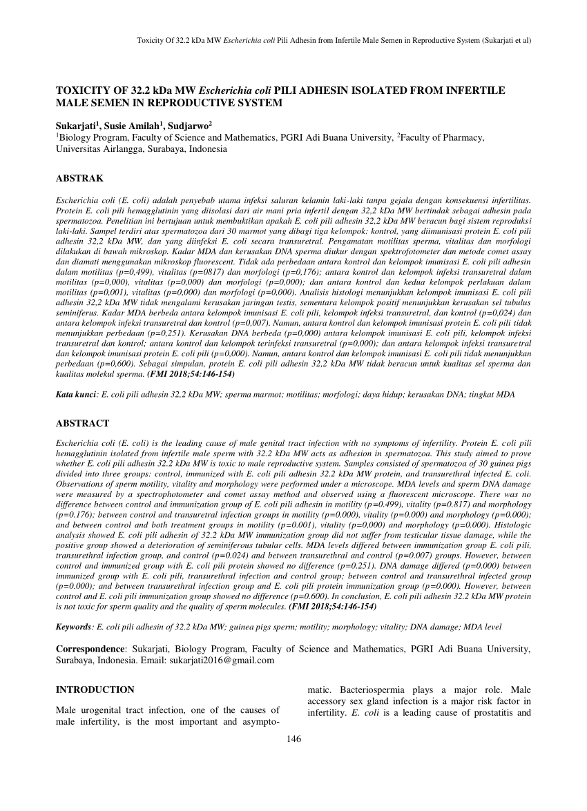 PDF) Toxicity of 32.2 kDa MW Escherichia coli Pili Adhesin Isolated from  Infertile Male Semen in Reproductive System