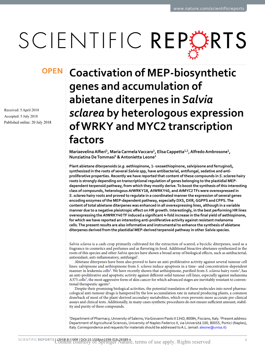PDF) Coactivation of MEP-biosynthetic genes and accumulation of 