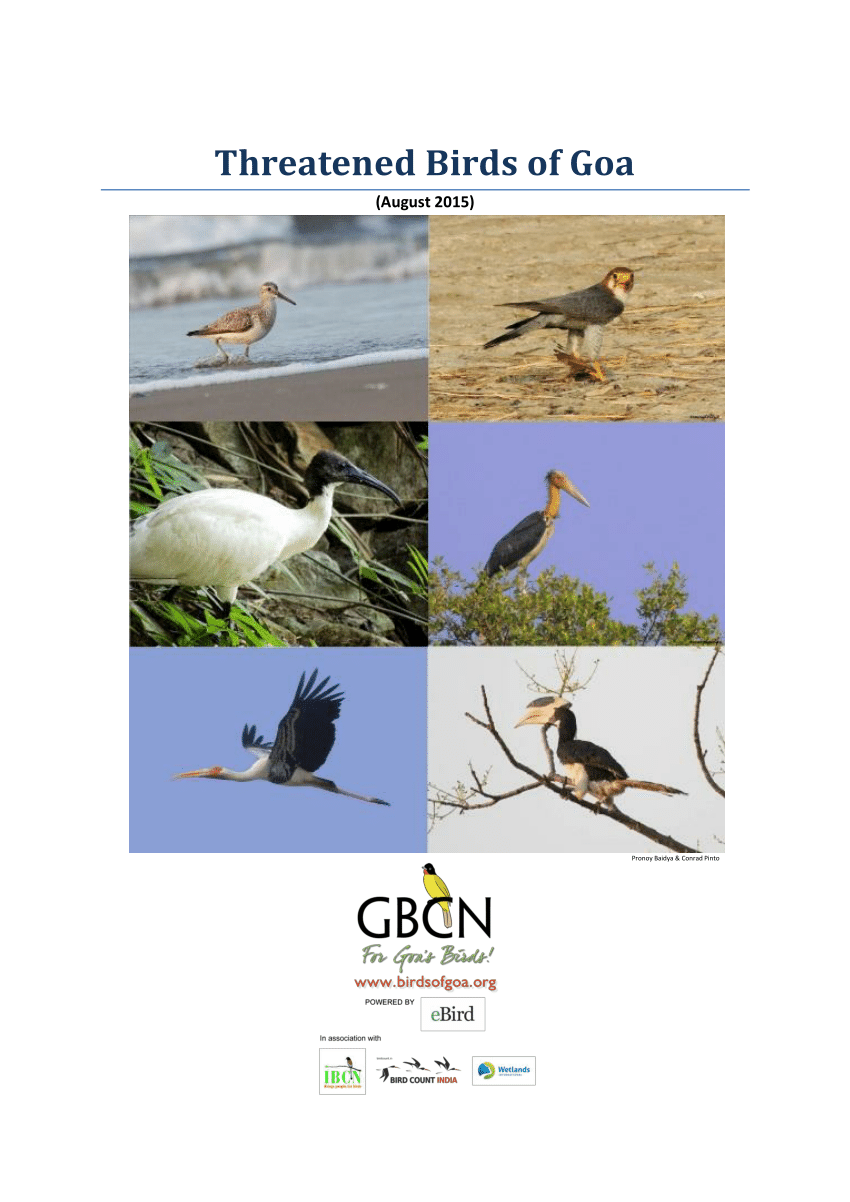 PDF) Threatened Birds of Goa
