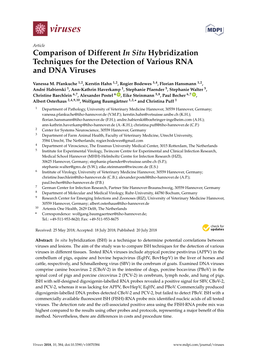 PDF) Comparison of Different In Situ Hybridization Techniques for 
