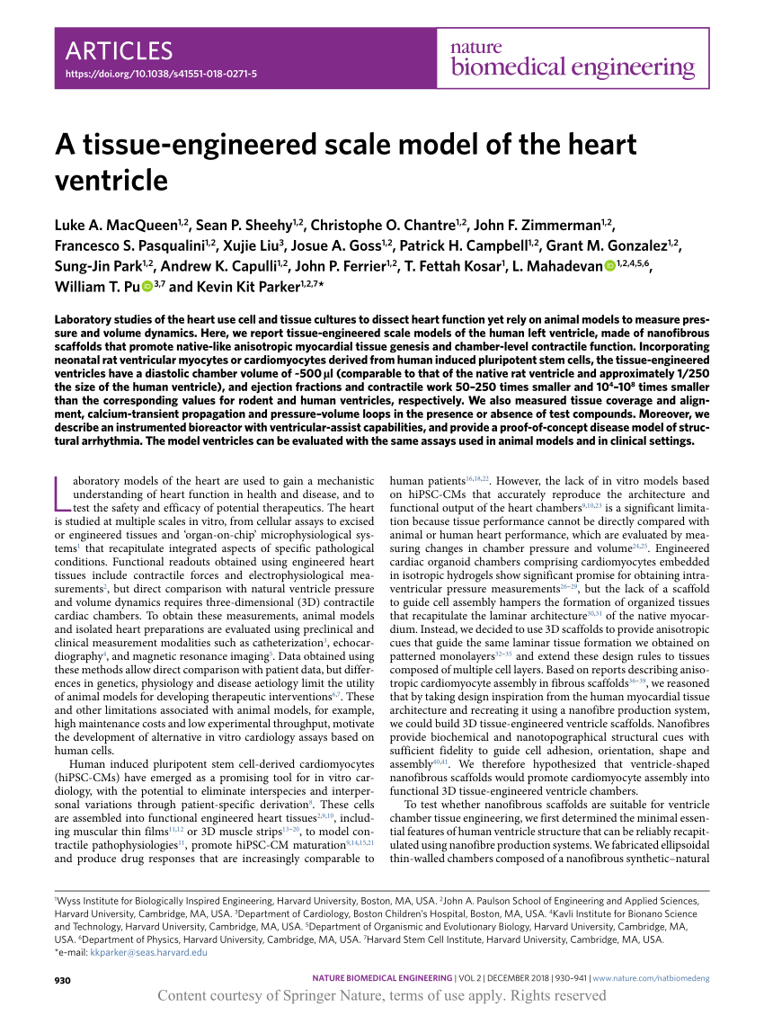 A tissue-engineered scale model of the heart ventricle | Request PDF