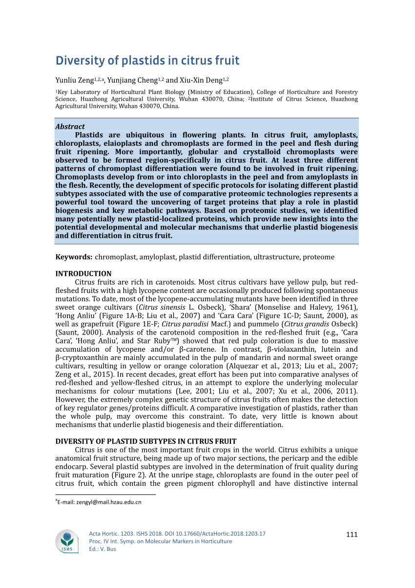 (PDF) Diversity of plastids in citrus fruit