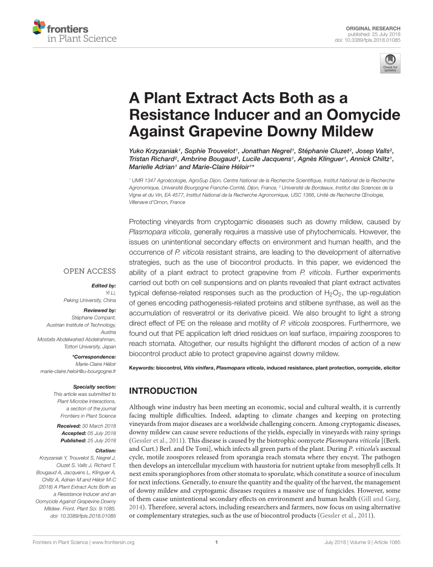 Frontiers  Grapevine response to a Dittrichia viscosa extract and a  Bacillus velezensis strain