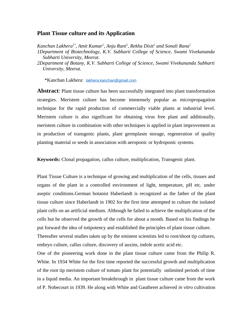 research paper on culture pdf